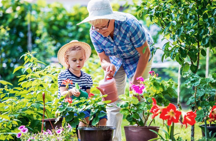 Older adult woman gardening with her granddaughter