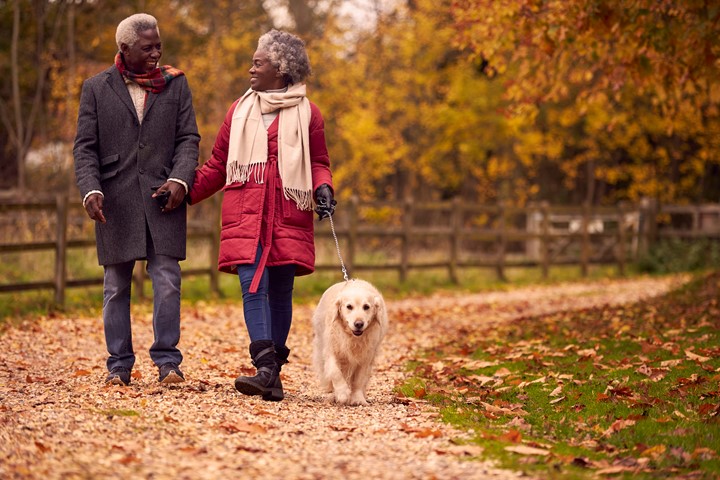 Two people walking with a dog in a park on a fall day