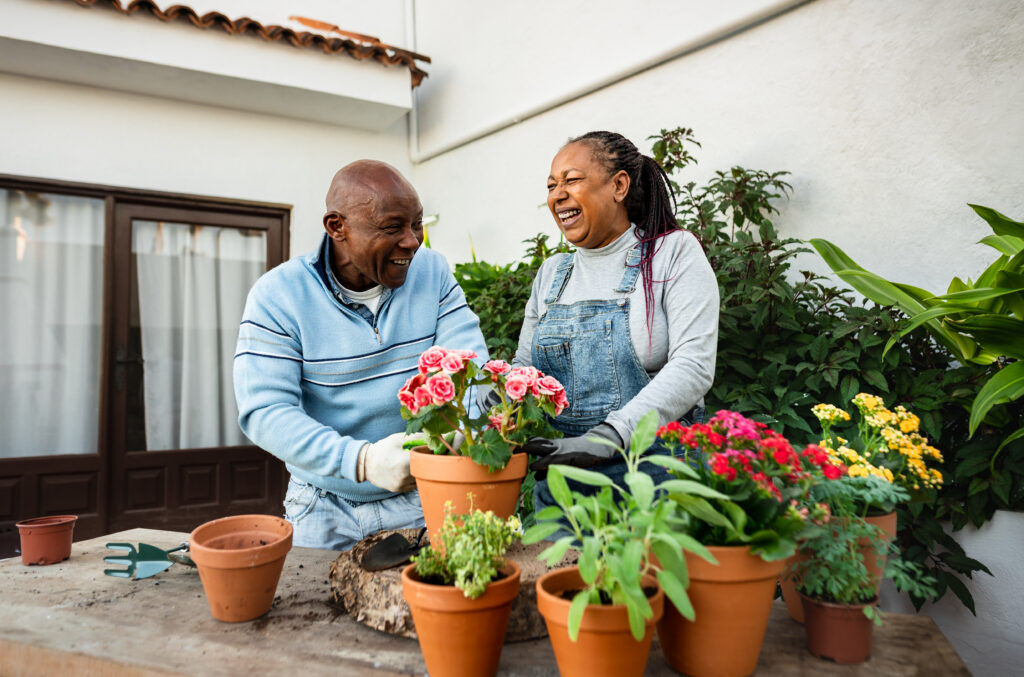 Photo of two people laughing while planting flowers.